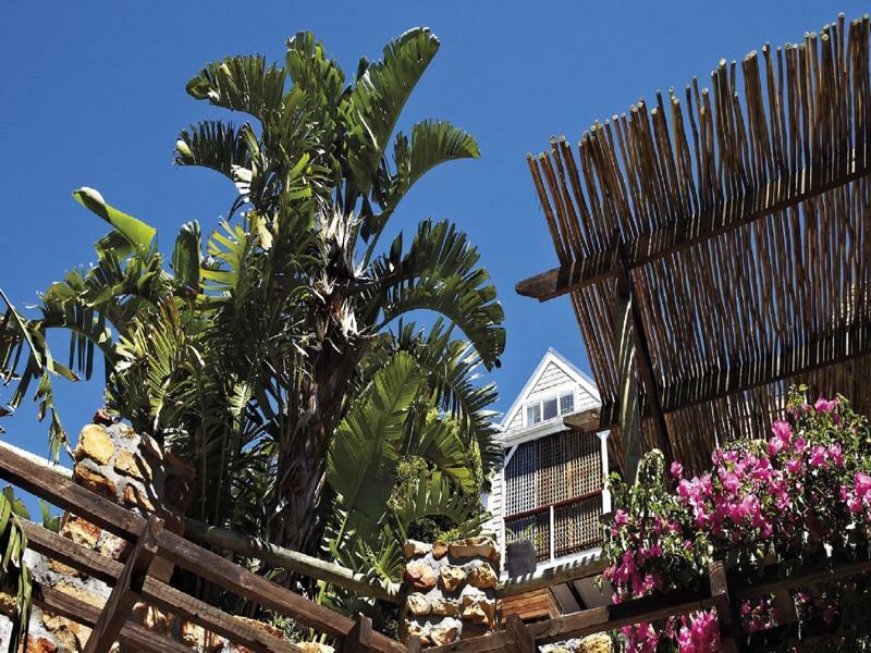 African Violet Guest Suites Noordhoek Exterior foto