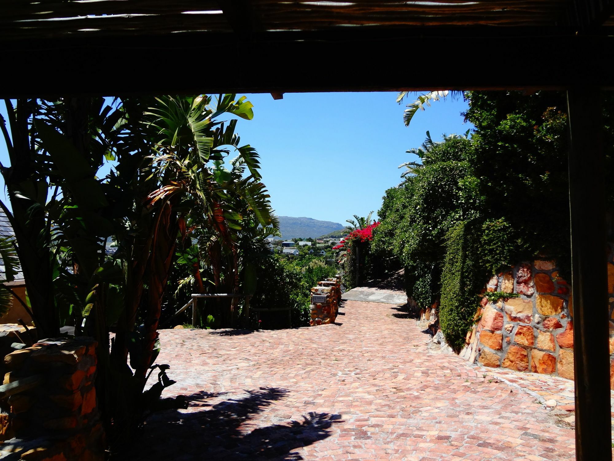 African Violet Guest Suites Noordhoek Exterior foto