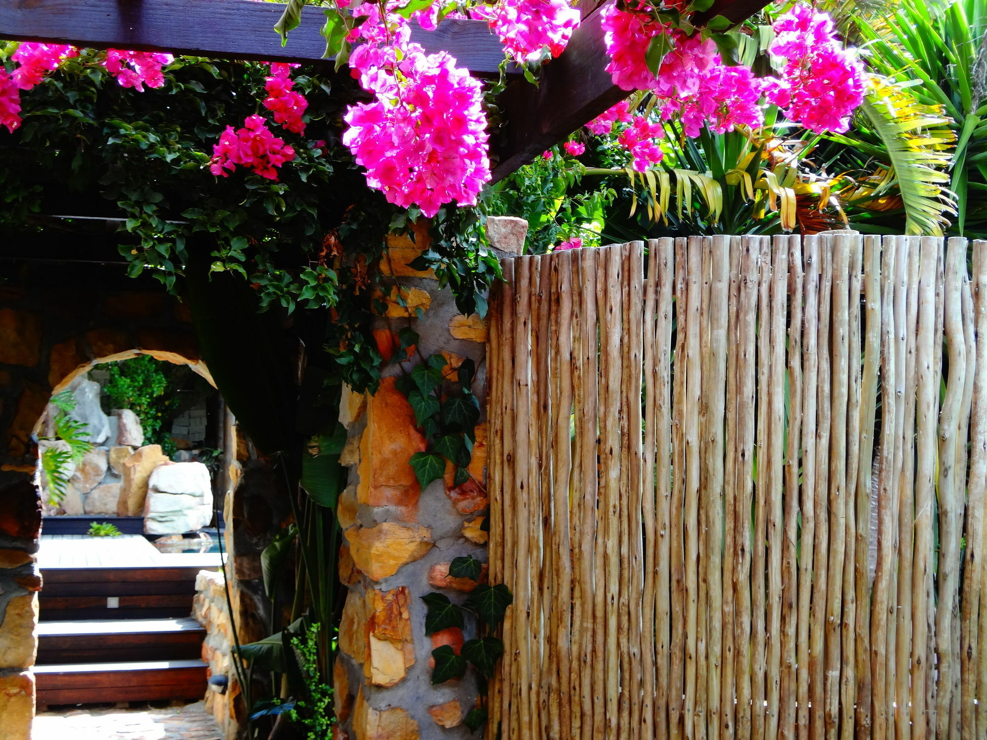 African Violet Guest Suites Noordhoek Exterior foto